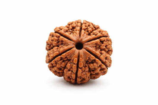 Original Rudraksha Mala 108 Beads – Natural Brown Jaap Mala for Pooja, Meditation & Spiritual Healing